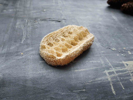 Éponge à vaisselle en luffa