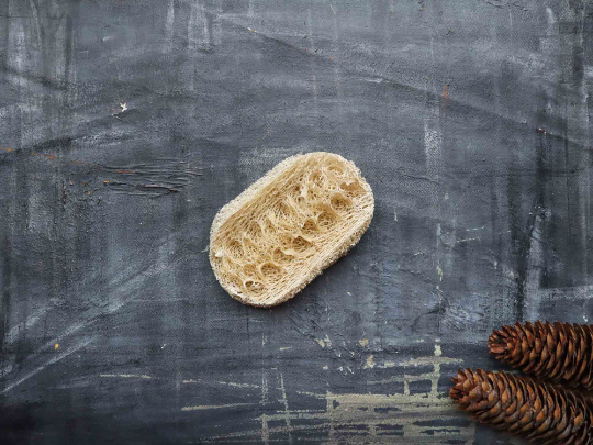Éponge à vaisselle en luffa