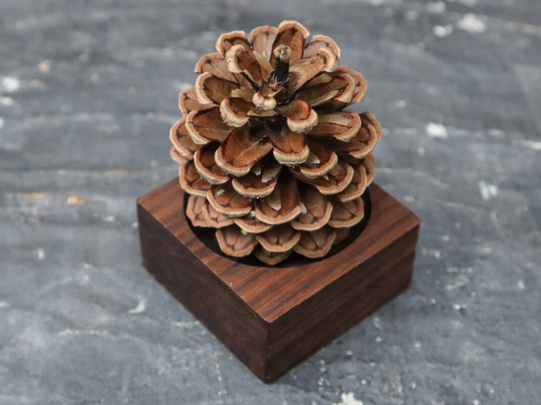 Pinecone Wooden Essential Oil Diffuser-0