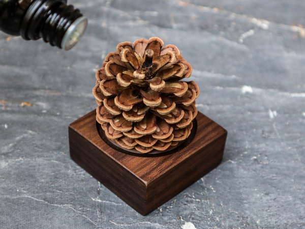Pinecone Wooden Essential Oil Diffuser-3