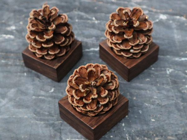 Pinecone Wooden Essential Oil Diffuser-4