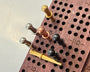 Standard Size Cribbage pegs