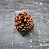 Pinecone Wooden Essential Oil Diffuser-2