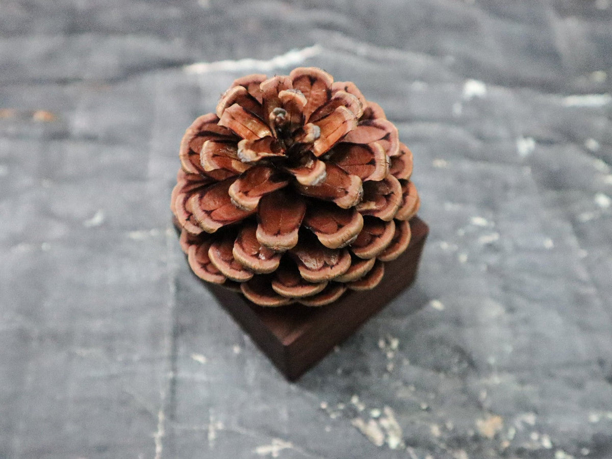 Pinecone Wooden Essential Oil Diffuser-2