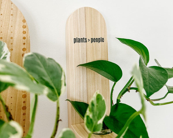 Propagation Little Shelf - Plants > People Natural (Sage or Dark Green)-0