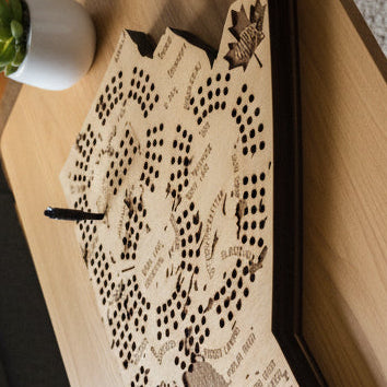 Wooden coffee table with decorative item, gray sofa, and potted plants in a living room setting.